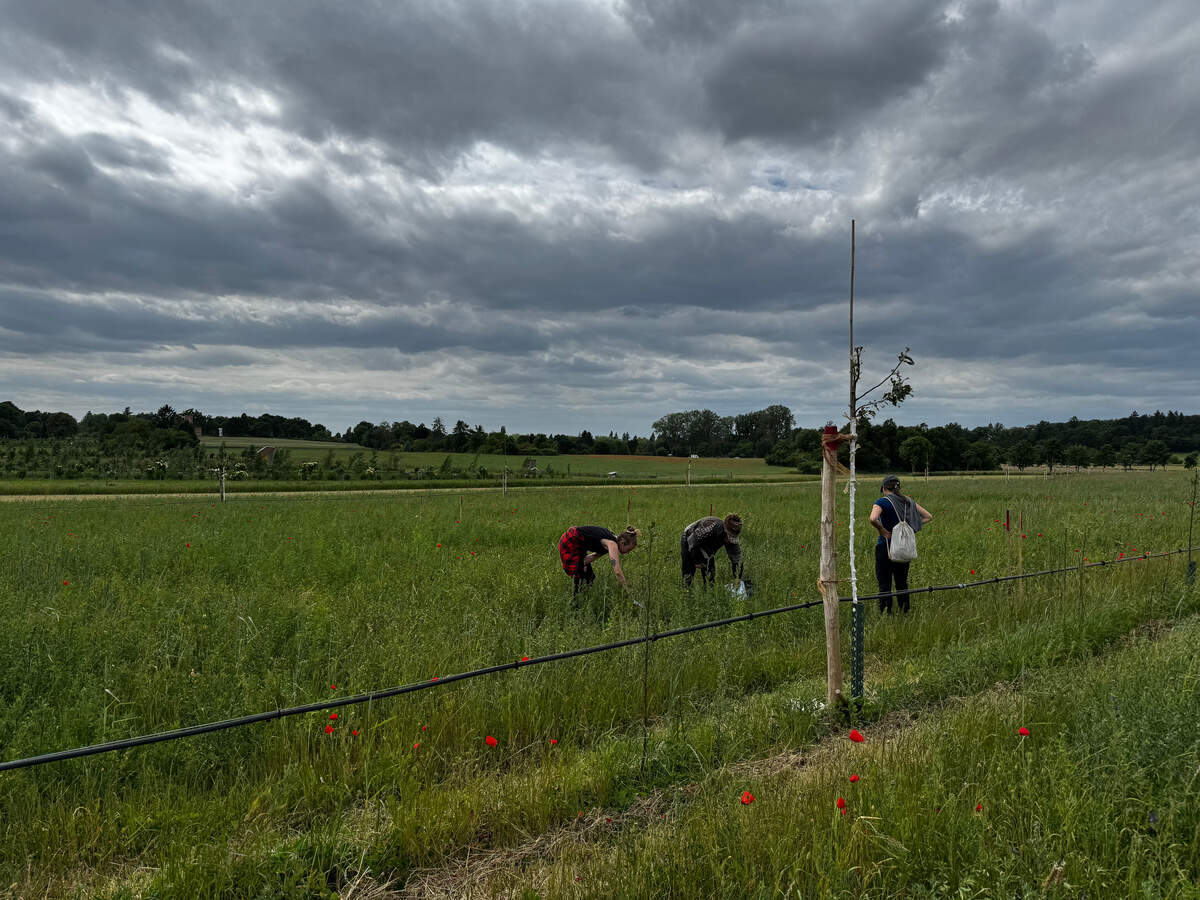 Hofgut Oberfeld Darmstadt