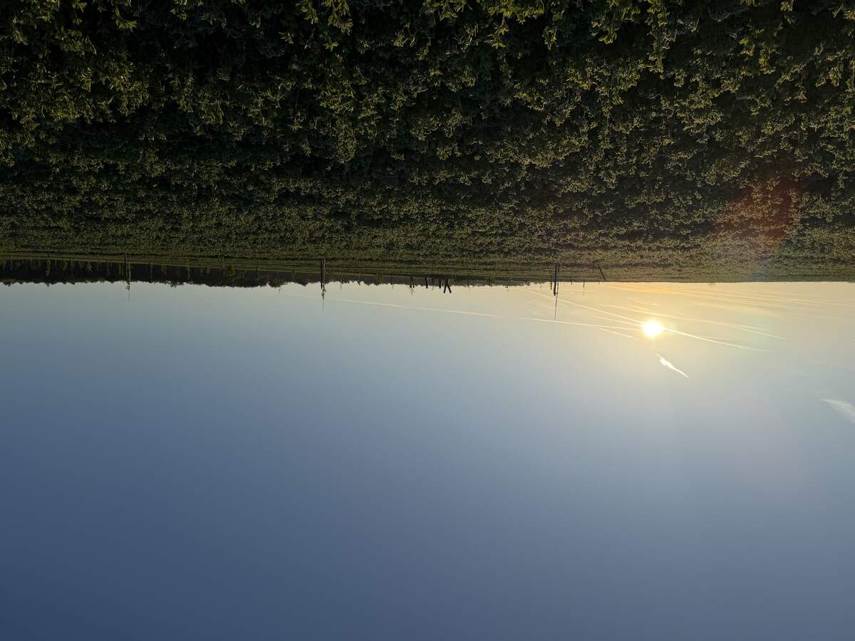 Agroforst-Fläche der Lokalgruppe Darmstadt